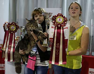 �������� ����� '���-�����-������' 22-23 ������ 2014 4_47_169A8597 copy.jpg